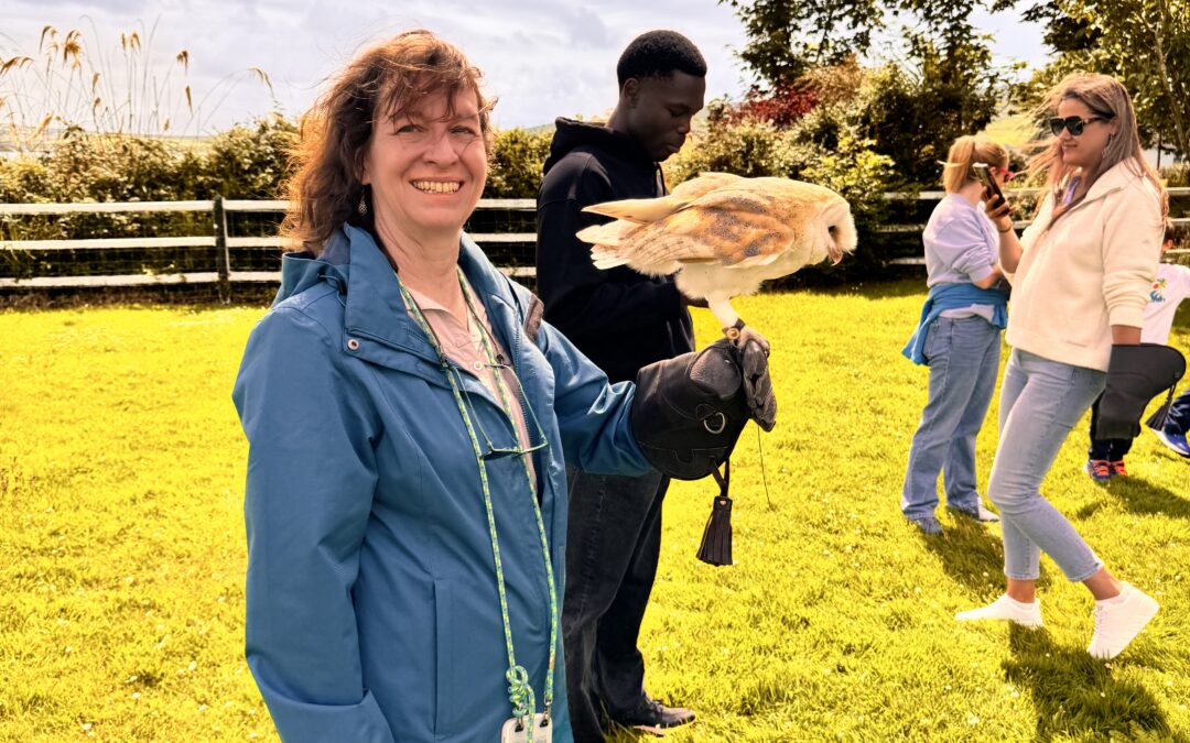 Meine To-Want-Liste für das 4. Quartal 2025